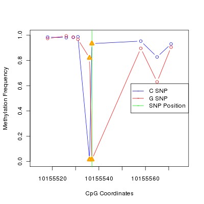 Allele Specific Methylation Frequency Diagram for chr12 10155537 SNP.