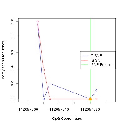 Allele Specific Methylation Frequency Diagram for chr12 112057620 SNP.
