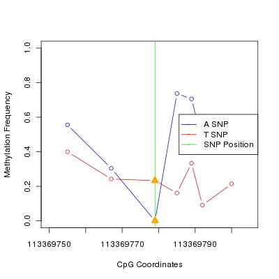 Allele Specific Methylation Frequency Diagram for chr12 113369779 SNP.