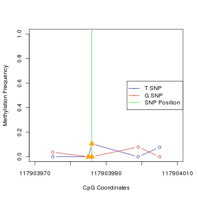 Allele Specific Methylation Frequency Diagram for chr12 117903986 SNP.