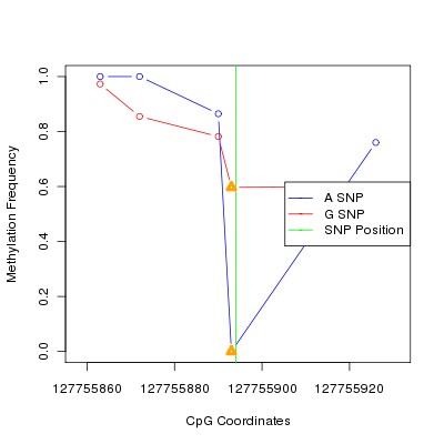 Allele Specific Methylation Frequency Diagram for chr12 127755894 SNP.