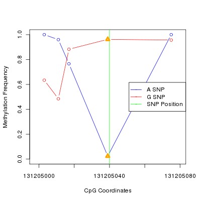 Allele Specific Methylation Frequency Diagram for chr12 131205040 SNP.