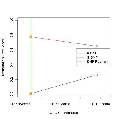 Allele Specific Methylation Frequency Diagram for chr12 131356295 SNP.