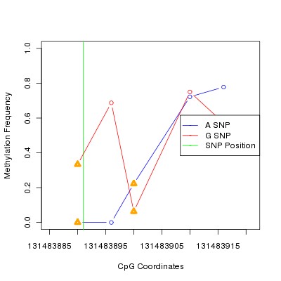 Allele Specific Methylation Frequency Diagram for chr12 131483891 SNP.