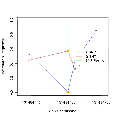 Allele Specific Methylation Frequency Diagram for chr12 131484732 SNP.