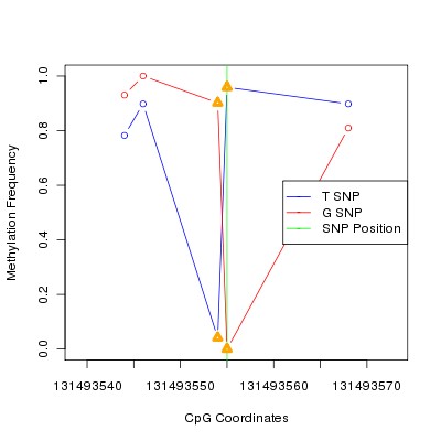 Allele Specific Methylation Frequency Diagram for chr12 131493555 SNP.
