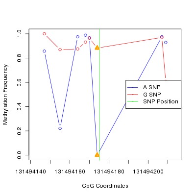 Allele Specific Methylation Frequency Diagram for chr12 131494175 SNP.