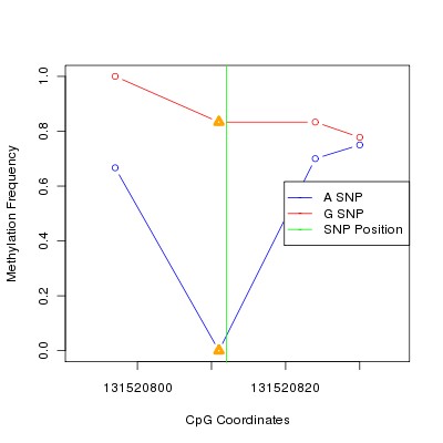 Allele Specific Methylation Frequency Diagram for chr12 131520812 SNP.