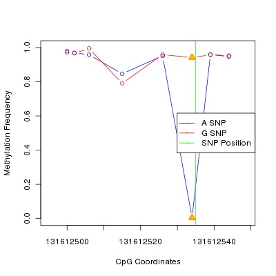 Allele Specific Methylation Frequency Diagram for chr12 131612535 SNP.