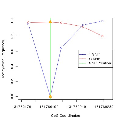 Allele Specific Methylation Frequency Diagram for chr12 131760191 SNP.