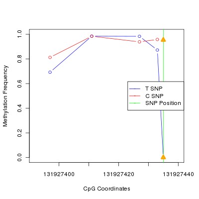 Allele Specific Methylation Frequency Diagram for chr12 131927435 SNP.