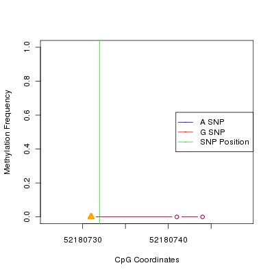 Allele Specific Methylation Frequency Diagram for chr12 52180732 SNP.