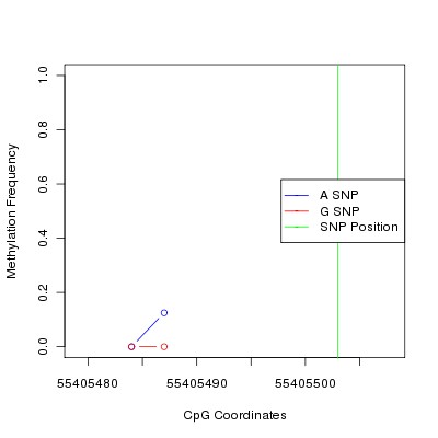Allele Specific Methylation Frequency Diagram for chr12 55405503 SNP.