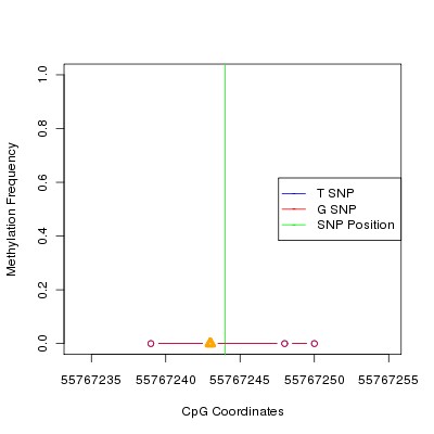 Allele Specific Methylation Frequency Diagram for chr12 55767244 SNP.