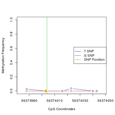Allele Specific Methylation Frequency Diagram for chr12 56374004 SNP.