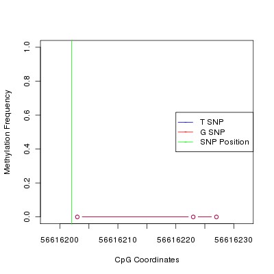 Allele Specific Methylation Frequency Diagram for chr12 56616202 SNP.