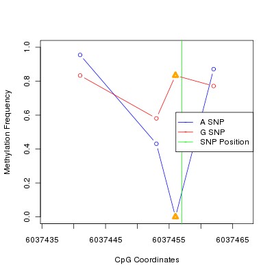 Allele Specific Methylation Frequency Diagram for chr12 6037457 SNP.