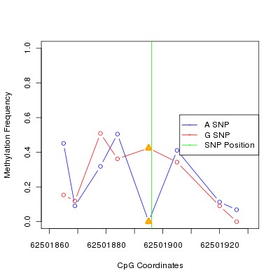 Allele Specific Methylation Frequency Diagram for chr12 62501896 SNP.