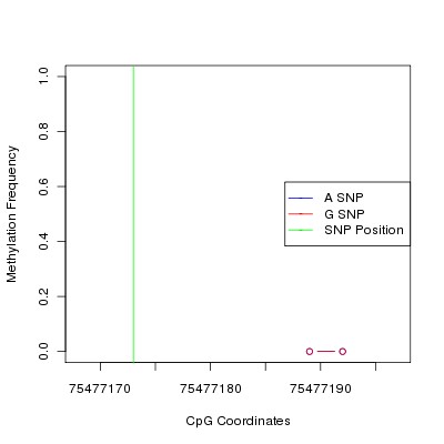Allele Specific Methylation Frequency Diagram for chr12 75477173 SNP.