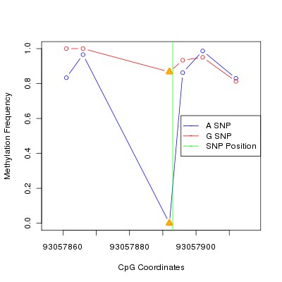 Allele Specific Methylation Frequency Diagram for chr12 93057893 SNP.