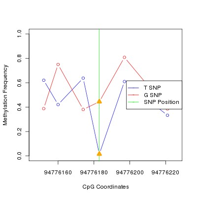 Allele Specific Methylation Frequency Diagram for chr12 94776183 SNP.