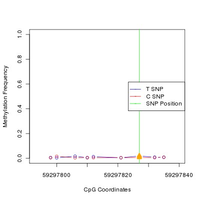 Allele Specific Methylation Frequency Diagram for chr19 59297827 SNP.