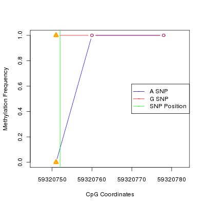 Allele Specific Methylation Frequency Diagram for chr19 59320752 SNP.