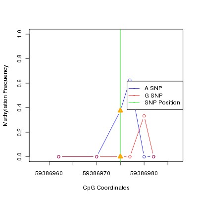 Allele Specific Methylation Frequency Diagram for chr19 59386975 SNP.