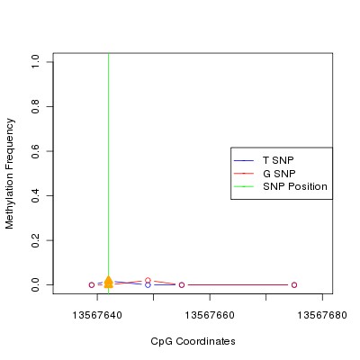 Allele Specific Methylation Frequency Diagram for chr20 13567642 SNP.