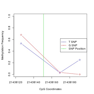 Allele Specific Methylation Frequency Diagram for chr20 21438151 SNP.