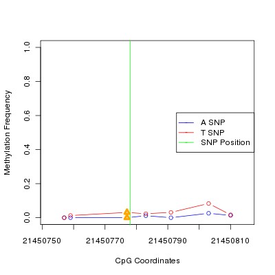 Allele Specific Methylation Frequency Diagram for chr20 21450778 SNP.