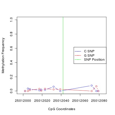 Allele Specific Methylation Frequency Diagram for chr20 25012042 SNP.