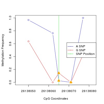 Allele Specific Methylation Frequency Diagram for chr20 26138065 SNP.