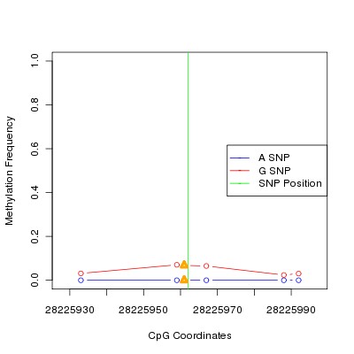 Allele Specific Methylation Frequency Diagram for chr20 28225962 SNP.