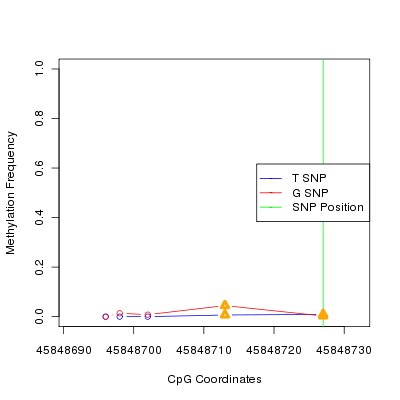 Allele Specific Methylation Frequency Diagram for chr20 45848727 SNP.
