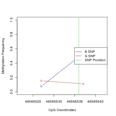 Allele Specific Methylation Frequency Diagram for chr20 46565536 SNP.