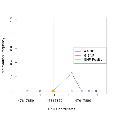 Allele Specific Methylation Frequency Diagram for chr20 47617869 SNP.