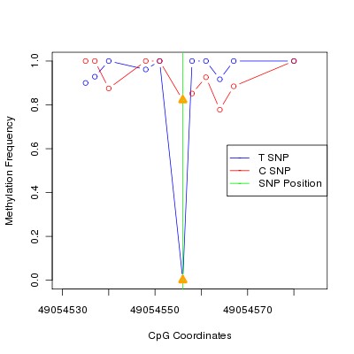 Allele Specific Methylation Frequency Diagram for chr20 49054556 SNP.