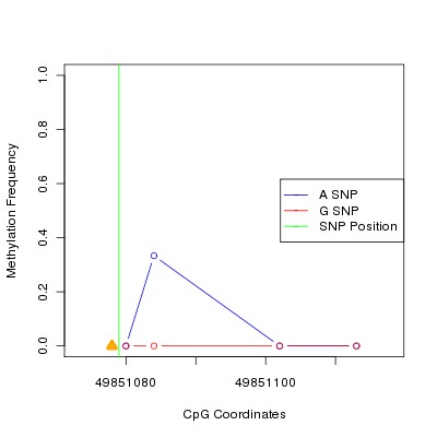 Allele Specific Methylation Frequency Diagram for chr20 49851079 SNP.
