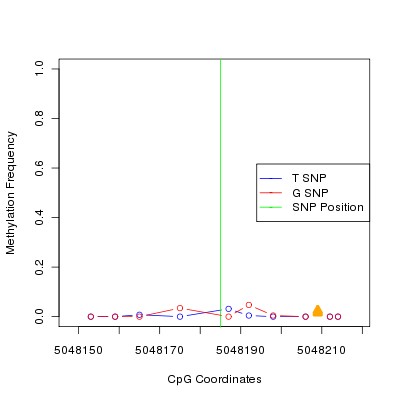 Allele Specific Methylation Frequency Diagram for chr20 5048185 SNP.