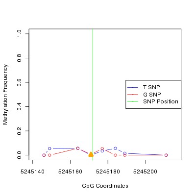 Allele Specific Methylation Frequency Diagram for chr20 5245172 SNP.