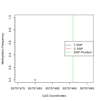 Allele Specific Methylation Frequency Diagram for chr20 55757491 SNP.