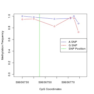Allele Specific Methylation Frequency Diagram for chr20 59936745 SNP.