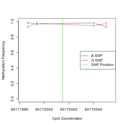 Allele Specific Methylation Frequency Diagram for chr20 60172015 SNP.