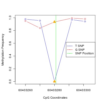 Allele Specific Methylation Frequency Diagram for chr20 60403281 SNP.