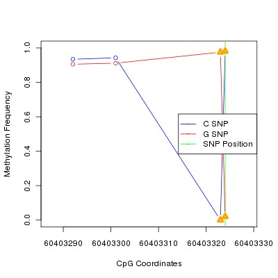 Allele Specific Methylation Frequency Diagram for chr20 60403324 SNP.