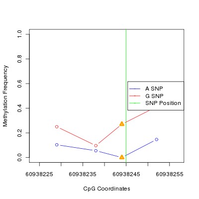 Allele Specific Methylation Frequency Diagram for chr20 60938245 SNP.