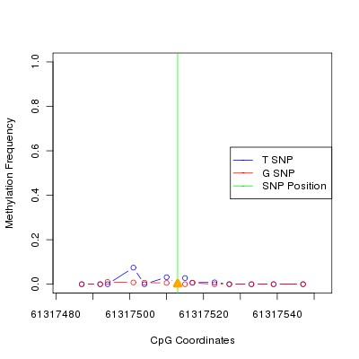 Allele Specific Methylation Frequency Diagram for chr20 61317513 SNP.