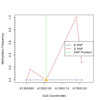 Allele Specific Methylation Frequency Diagram for chr20 61355101 SNP.