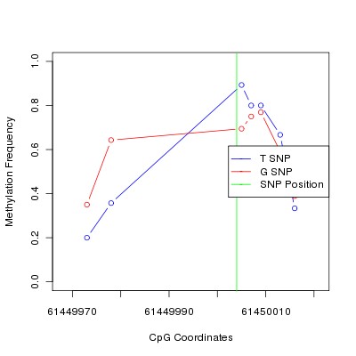 Allele Specific Methylation Frequency Diagram for chr20 61450004 SNP.